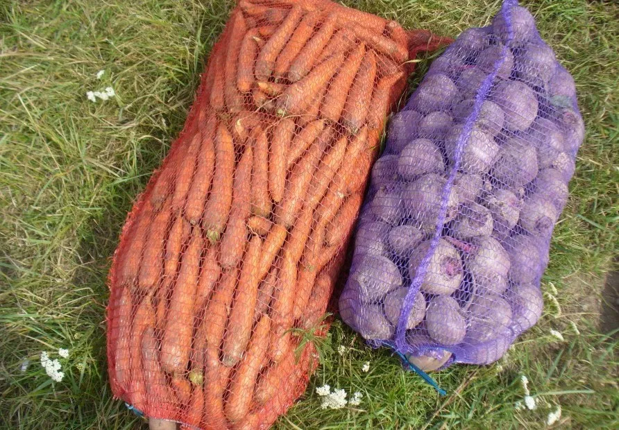 морковь оптом свежая от 10тонн в Чебоксарах и Чувашии