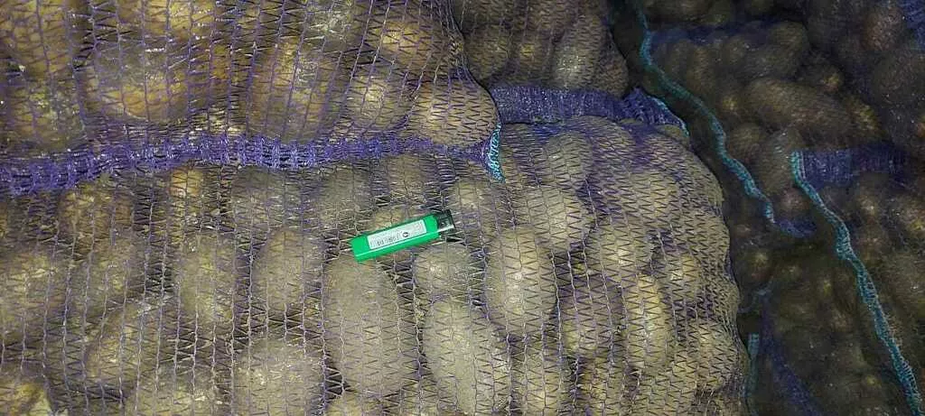 картофель желтый! в Чебоксарах и Чувашии