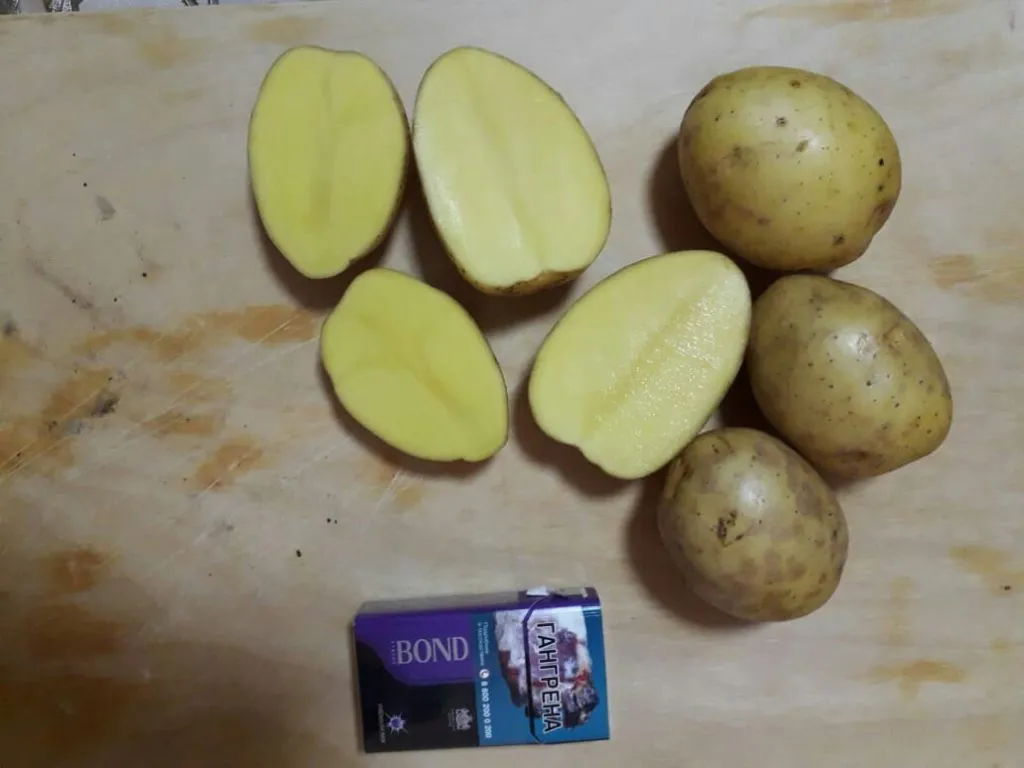 картофель оптом 5+ валом и в сетках  в Чебоксарах